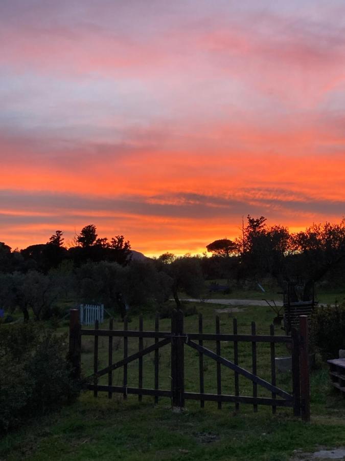 Agriturismo Is Conchisceddas Gonnosfanàdiga Exteriör bild