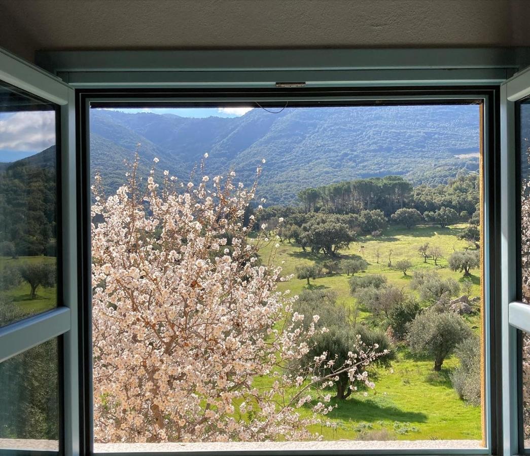 Agriturismo Is Conchisceddas Gonnosfanàdiga Exteriör bild