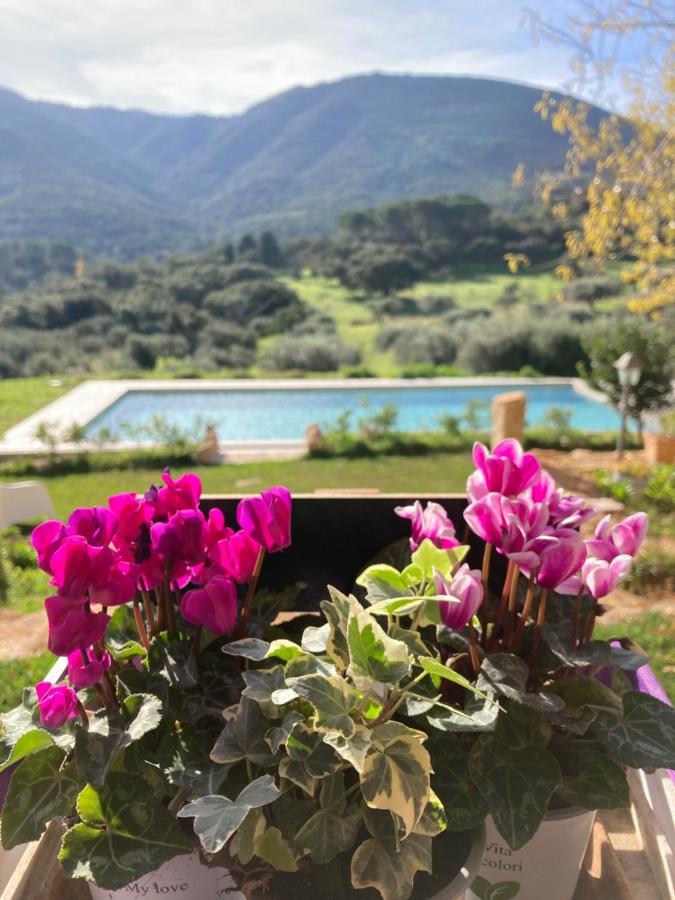 Agriturismo Is Conchisceddas Gonnosfanàdiga Exteriör bild