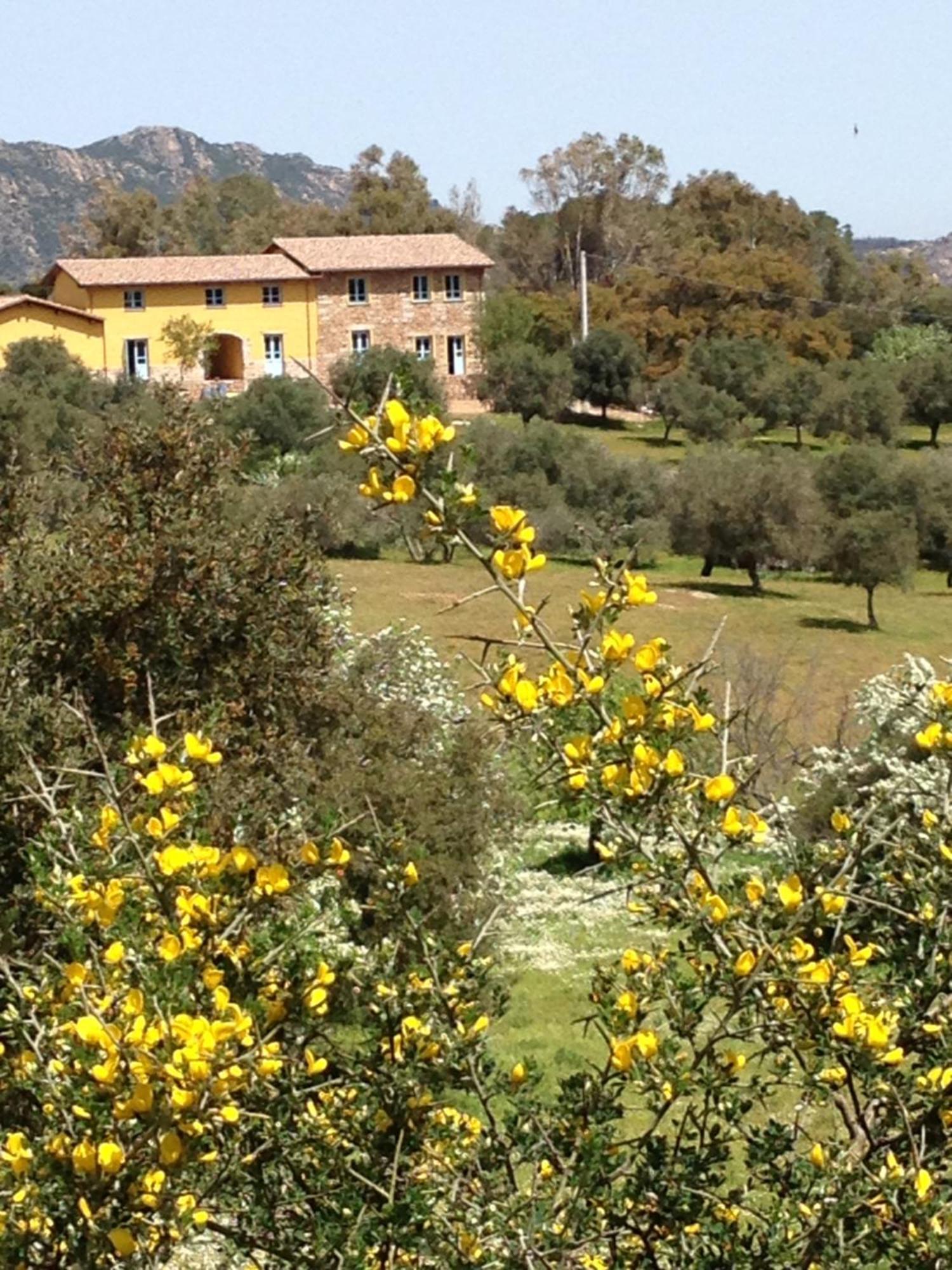 Agriturismo Is Conchisceddas Gonnosfanàdiga Exteriör bild