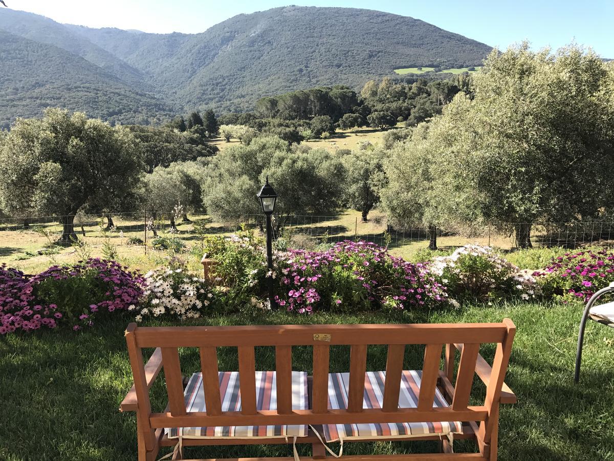 Agriturismo Is Conchisceddas Gonnosfanàdiga Exteriör bild