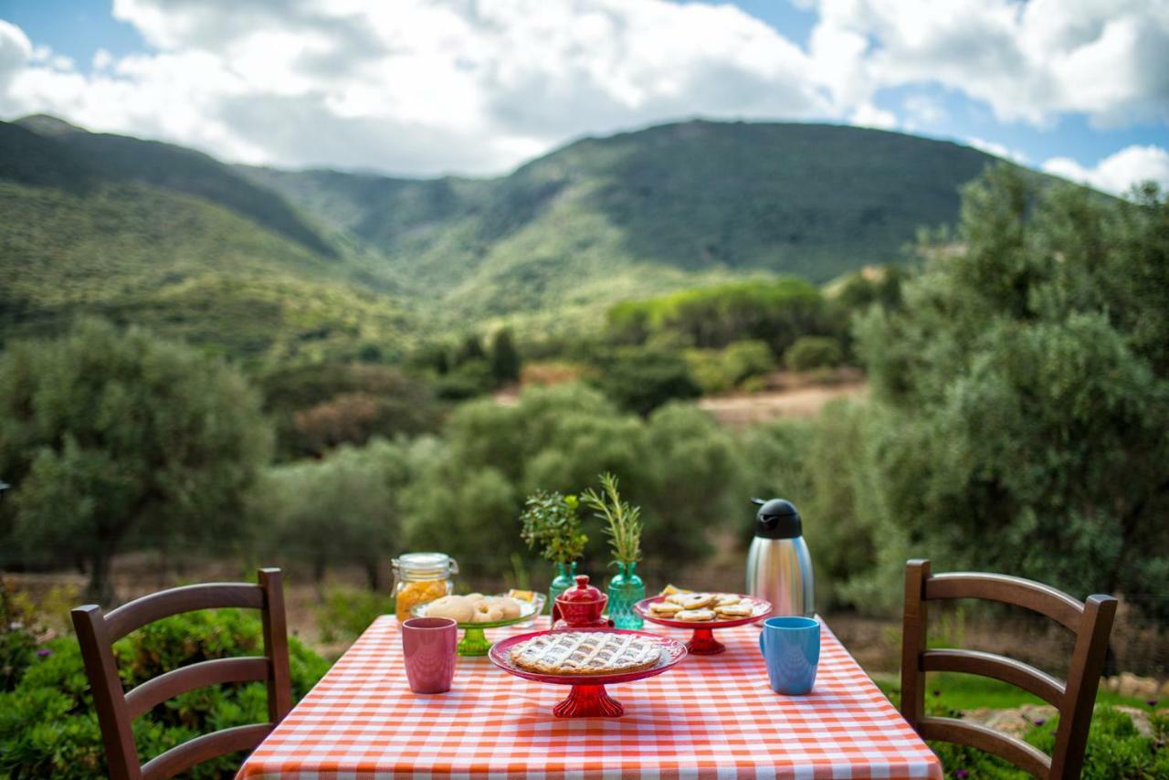 Agriturismo Is Conchisceddas Gonnosfanàdiga Exteriör bild