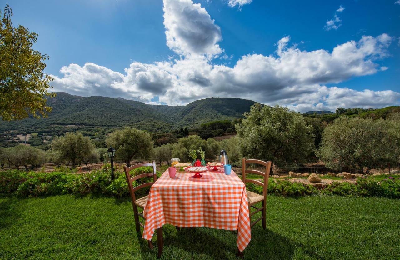 Agriturismo Is Conchisceddas Gonnosfanàdiga Exteriör bild