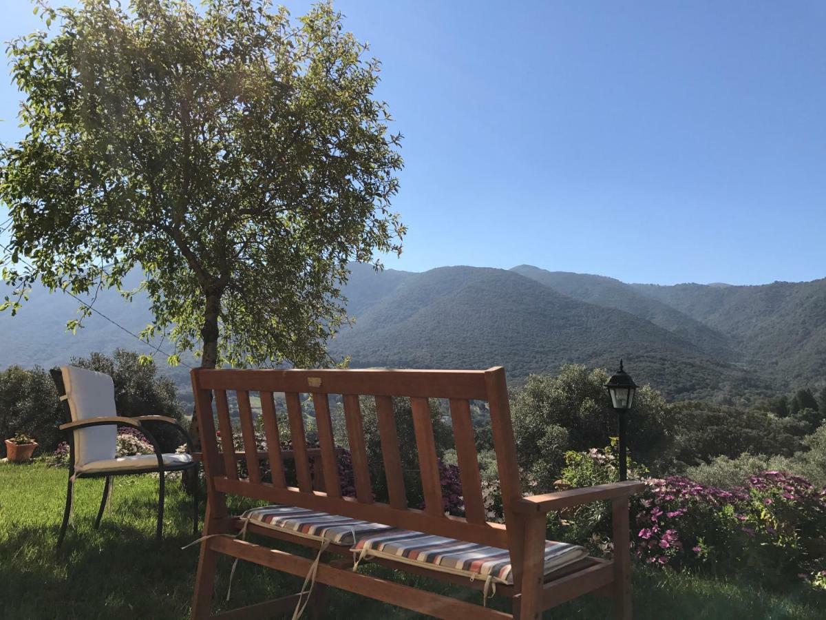 Agriturismo Is Conchisceddas Gonnosfanàdiga Exteriör bild